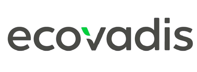 The EcoVadis logo which is the name in lower-case letters with part of the left side of the v in green