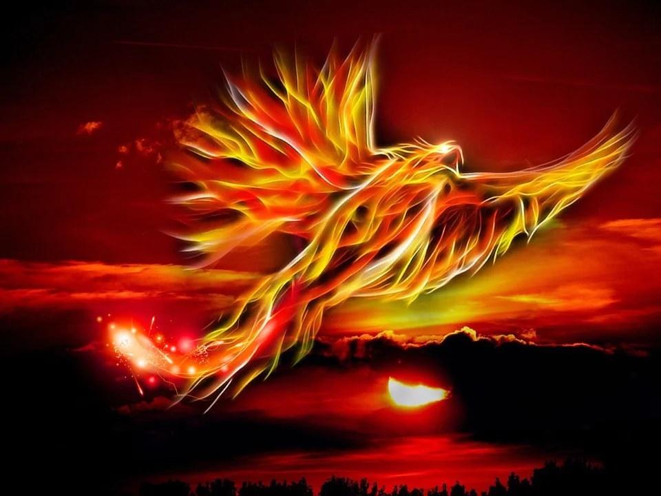 A fantastical image of a phoenix rising above a silhouetted landscape into a fiery sky at sunset.
